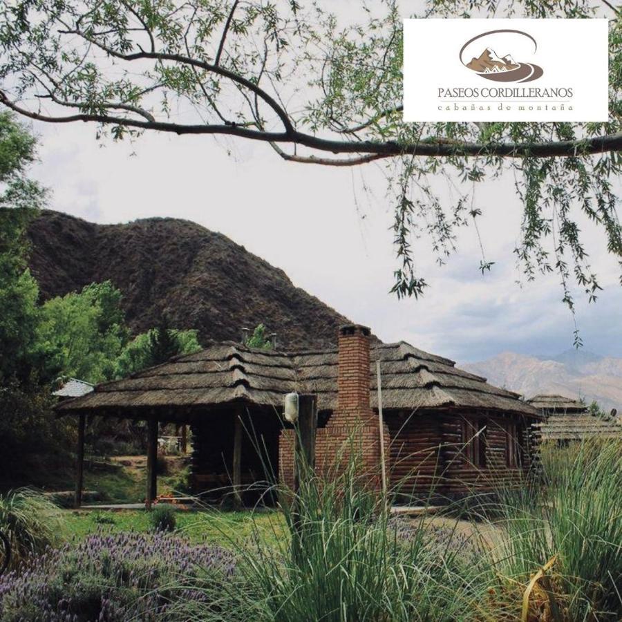 Cabana 17 Potrerillos Villa Mendoza Exteriör bild